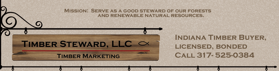 Ed Medows Timber Steward